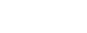 Meric International